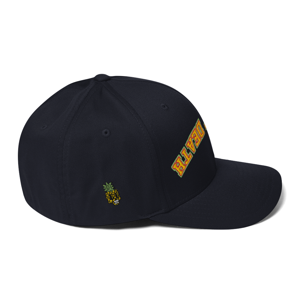 Nine8Twelve Defeat Death Rasta FlexFit