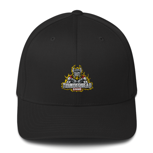 ThunderHead Flexfit Hat