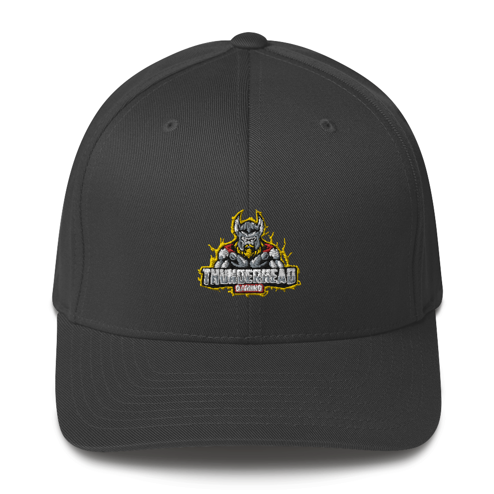 ThunderHead Flexfit Hat
