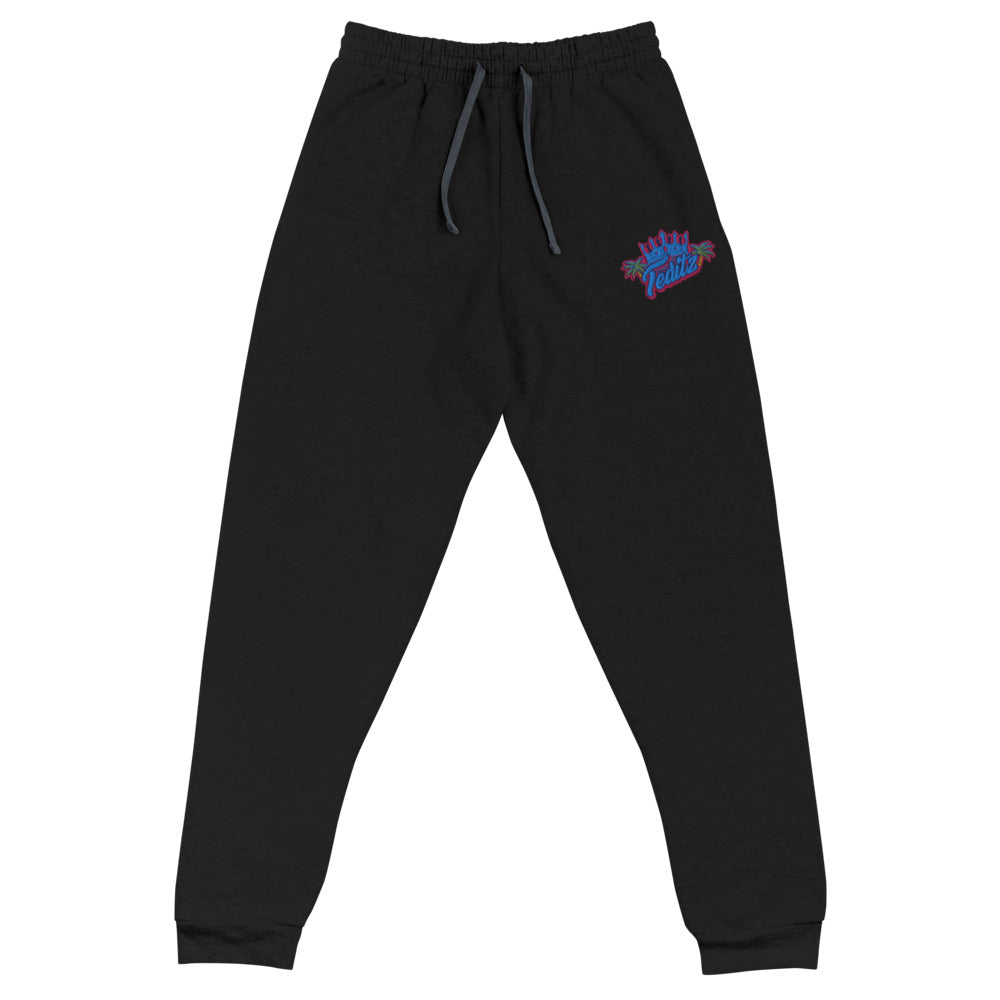 Teditz Embroidered Joggers